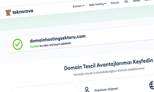 domain hosting sektörü